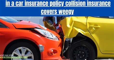 Trustworthy Protection: Learn How Collision Insurance Can Help Keep You Safe